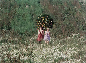 Daisies. Cinematography by Jaroslav Kučera (1966)