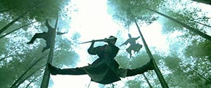 House of Flying Daggers. Cinematography by Zhao Xiaoding (2004)