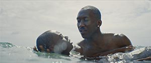 Moonlight. Cinematography by James Laxton (2016)