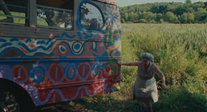 Taking Woodstock. USA (2009)